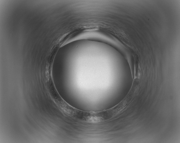 X0000056010360200508191307