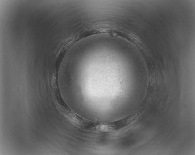 X0000056010365200508191307