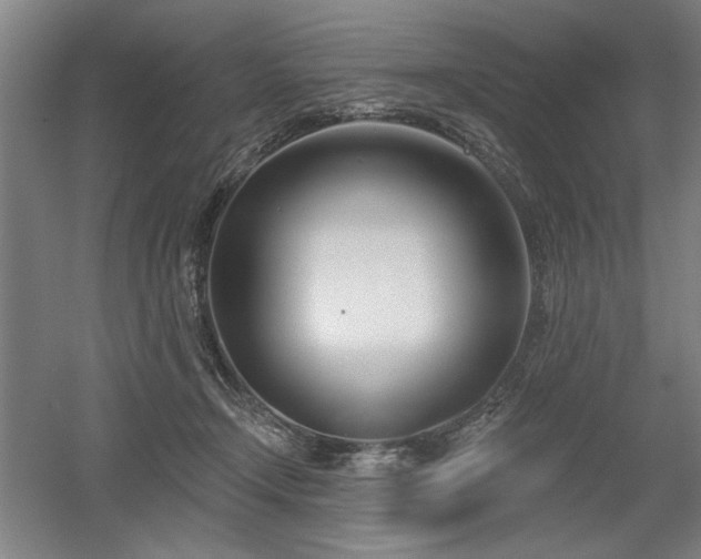 X0000056010366200508191307
