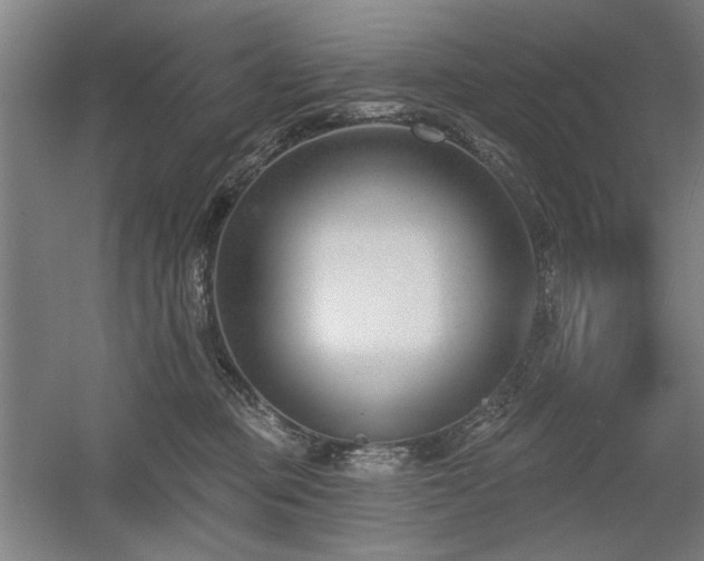 X0000056010373200508191307