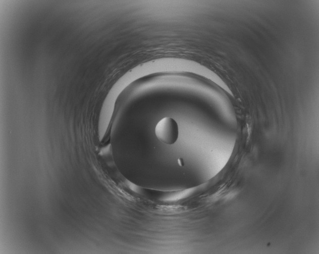 X0000056010380200508191308