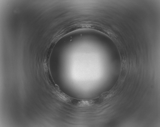 X0000056010381200508191308