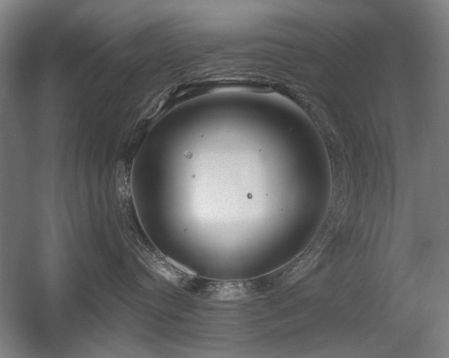 X0000056010384200508191308
