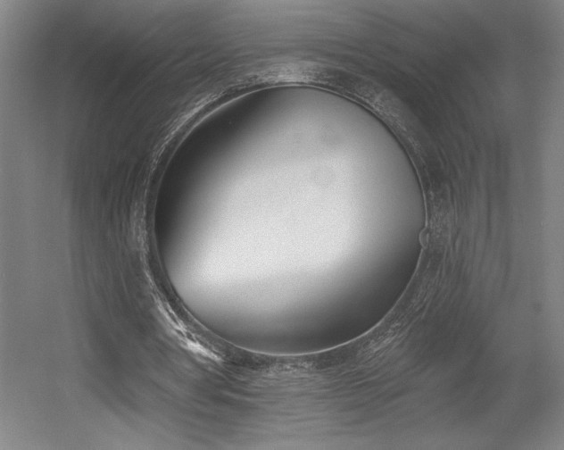 X0000056010386200508191307