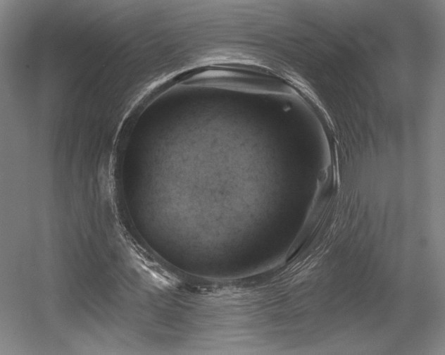 X0000056010387200508191307