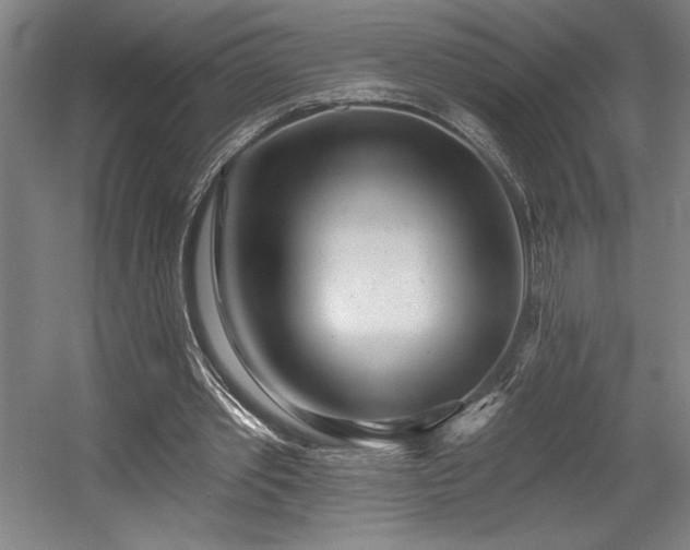 X0000056010389200508191307