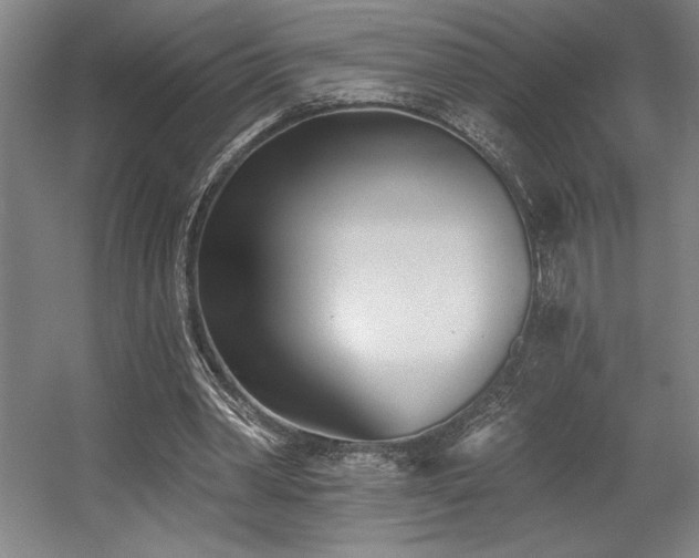 X0000056010390200508191307