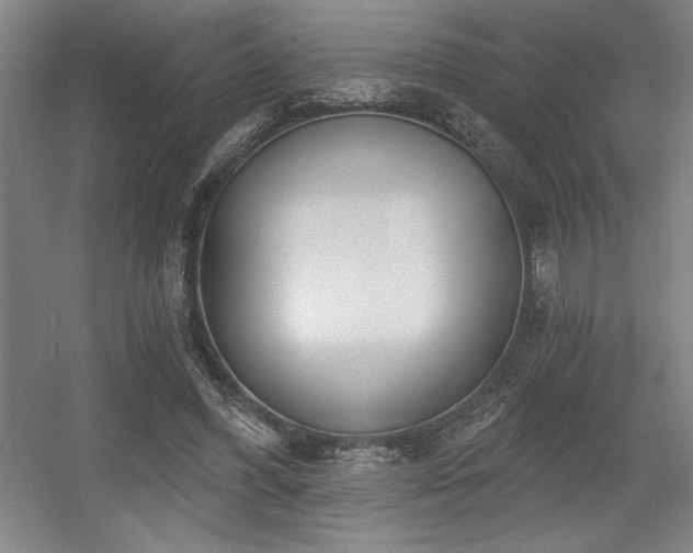 X0000056010396200508191307