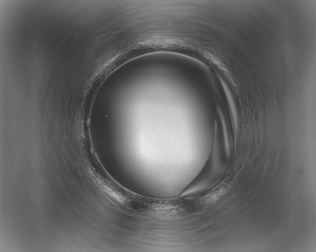 X0000056010399200508191307