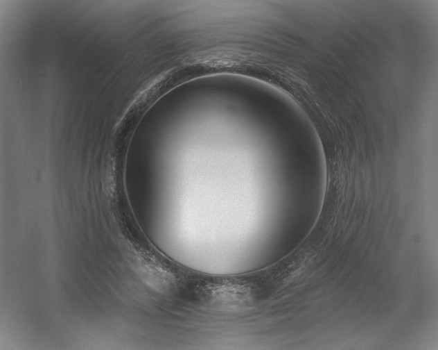 X0000056010400200508191307