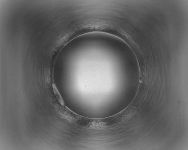 X0000056010403200508191306