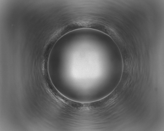 X0000056010404200508191306