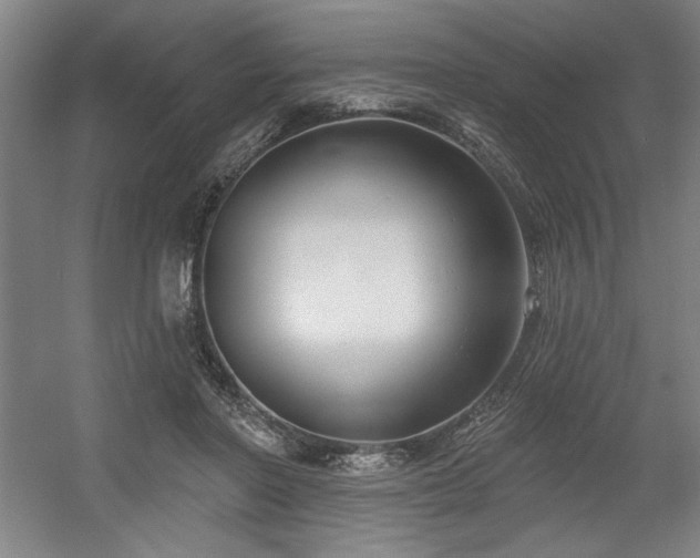 X0000056010406200508191306