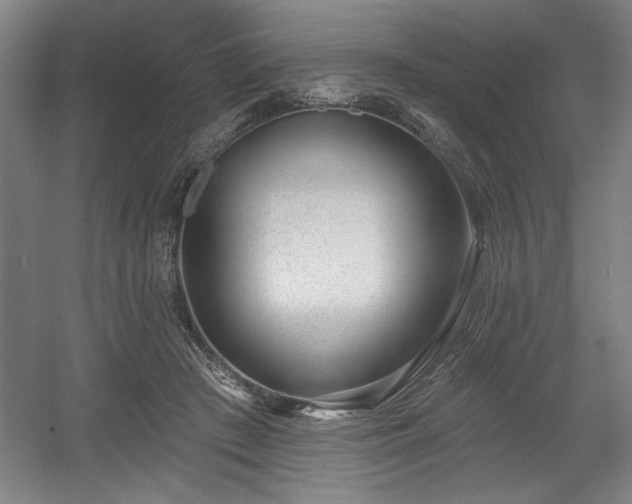X0000056010409200508191306