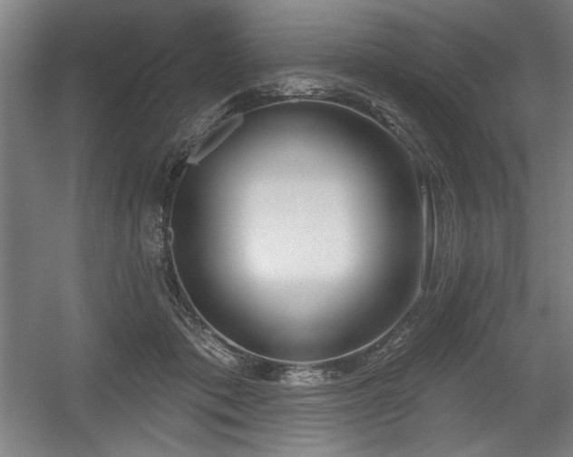 X0000056010413200508191306