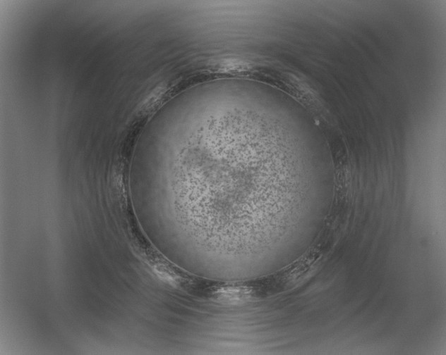 X0000056010415200508191306