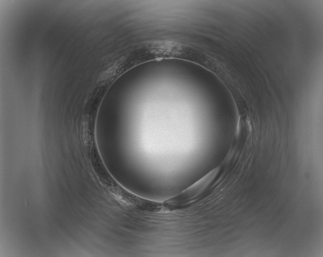 X0000056010416200508191306