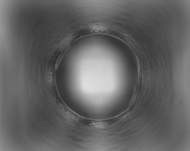 X0000056010417200508191306