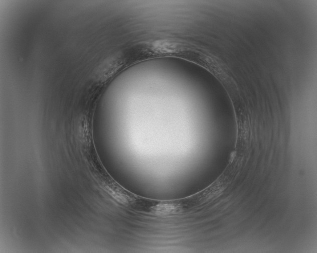 X0000056010418200508191306
