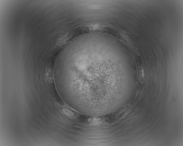X0000056010419200508191306