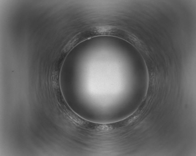X0000056010421200508191306