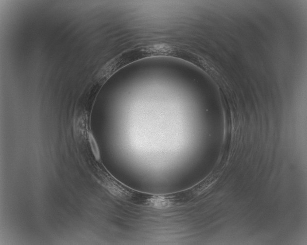 X0000056010425200508191306