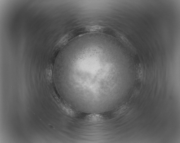 X0000056010427200508191306