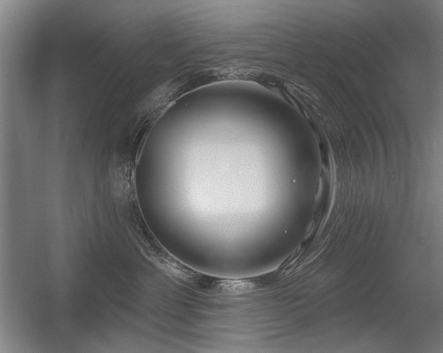 X0000056010429200508191306