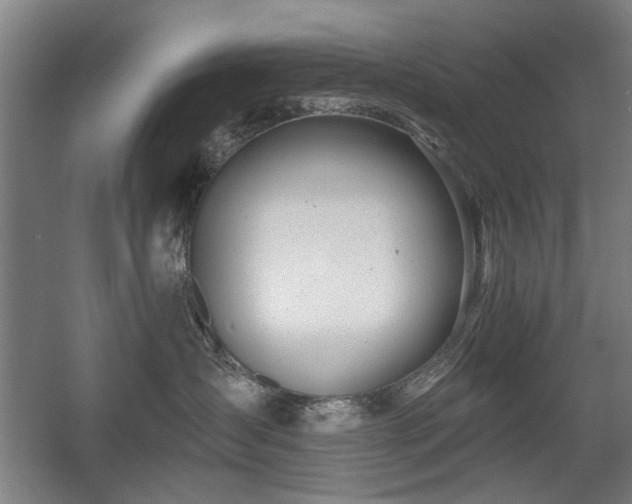 X0000056010431200508191306