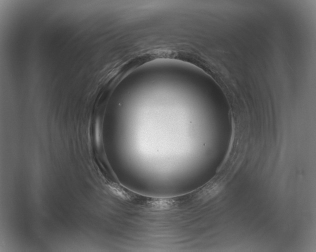 X0000056010432200508191306
