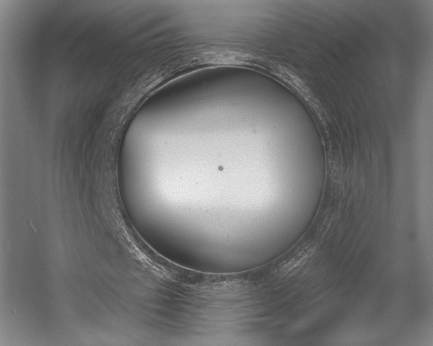 X0000056010433200508191305