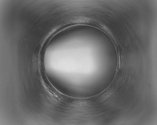 X0000056010435200508191305