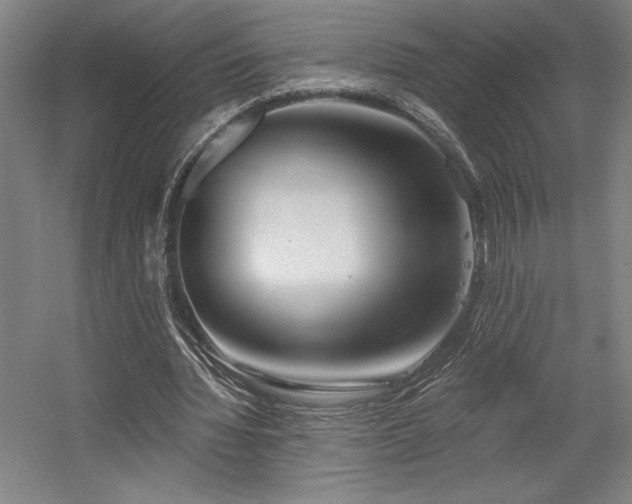 X0000056010436200508191305