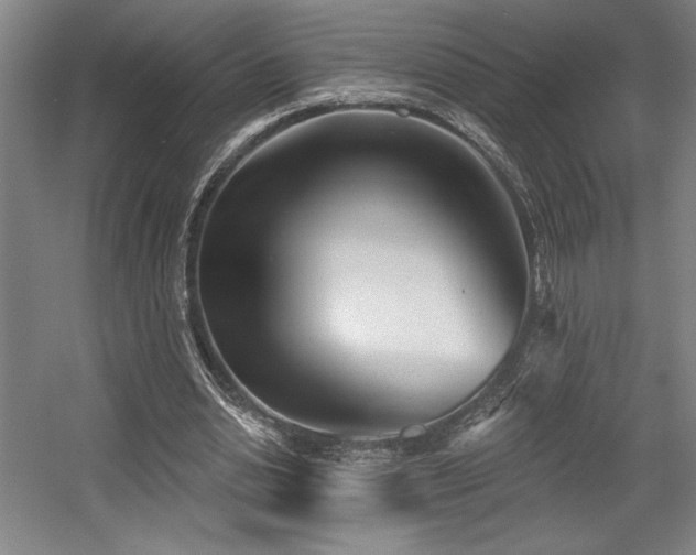 X0000056010438200508191305