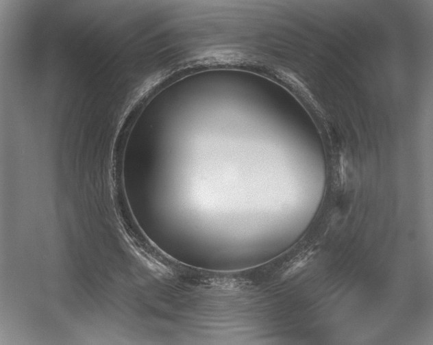 X0000056010439200508191305