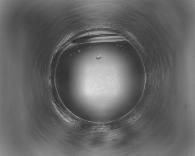 X0000056010443200508191305
