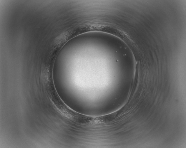X0000056010451200508191305