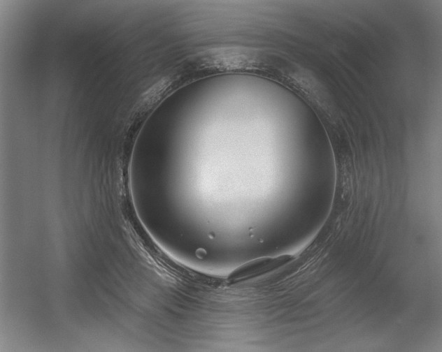 X0000056010453200508191306