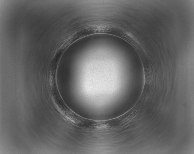 X0000056010456200508191306