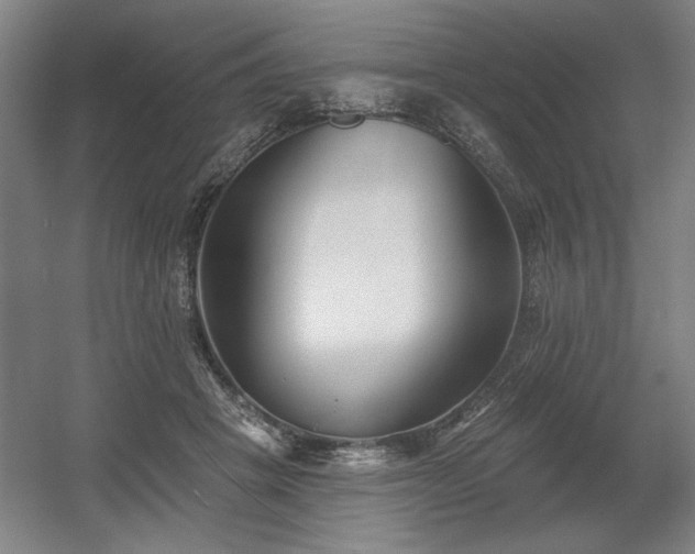 X0000056010457200508191306