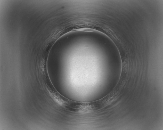 X0000056010458200508191306