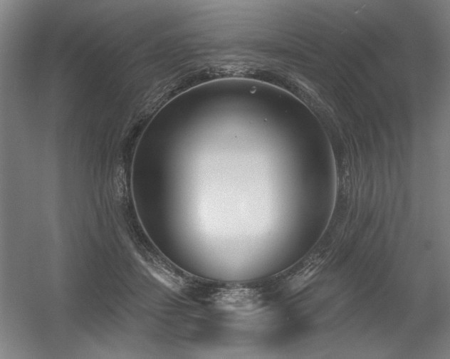 X0000056010459200508191306