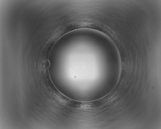 X0000056010462200508191306