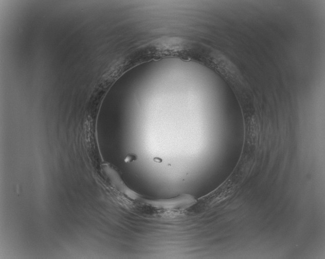 X0000056010463200508191306