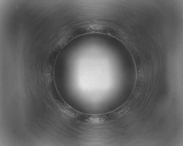 X0000056010464200508191306
