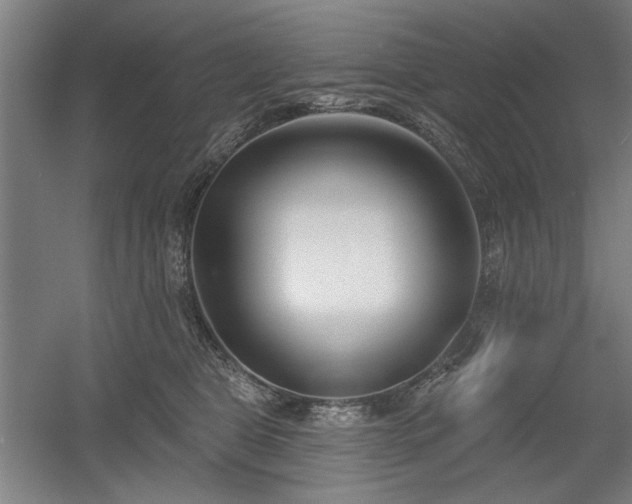 X0000056010469200508191306