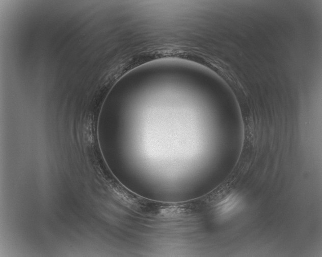X0000056010470200508191306