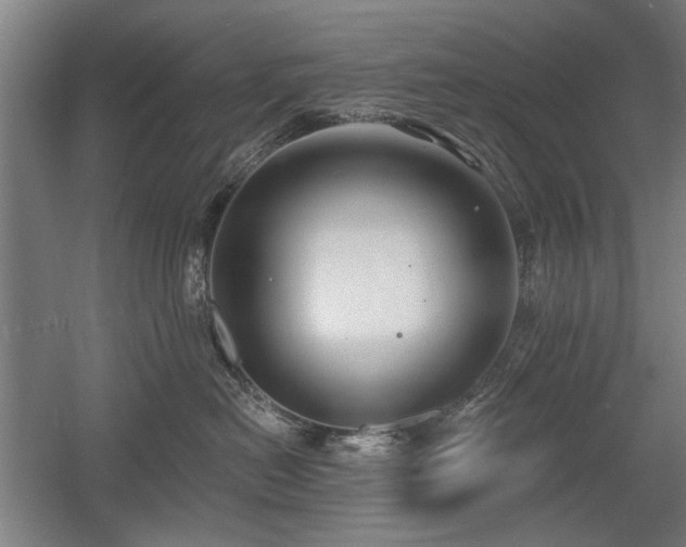 X0000056010478200508191306