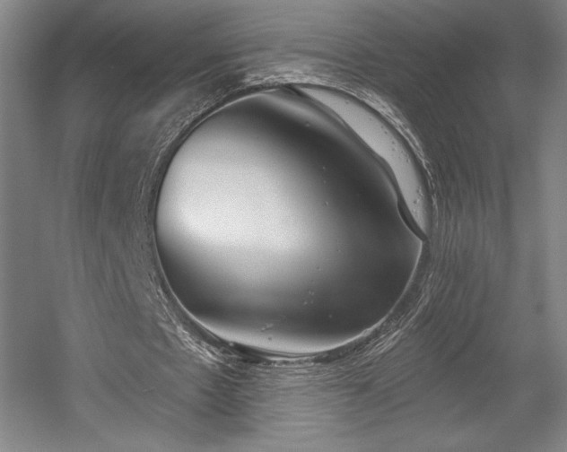 X0000056010481200508191305