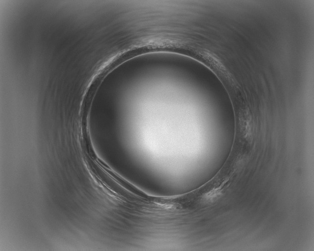 X0000056010488200508191305